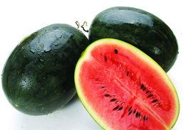 黑料吃黑瓜网怎么进,如何轻松进入探索神秘内容