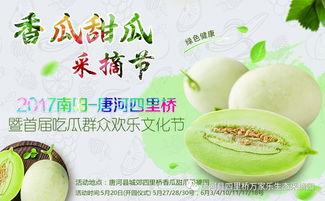 网红吃瓜合集免费,盘点热门事件背后的精彩瞬间