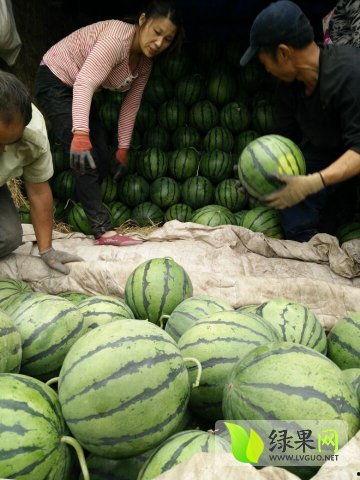 无锡最新吃瓜事件网红是谁,揭秘最新吃瓜事件主角是谁？”