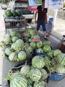 邳州网红吃瓜事件