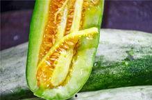 网红吃瓜醒脑,揭秘娱乐圈幕后真相，唤醒你的脑洞